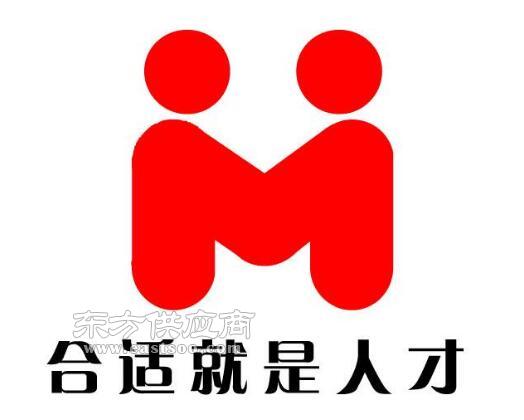 福建人力資源信息咨詢服務 解析邯鄲市可靠人力資源信息咨詢的選擇標準